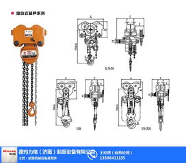 1噸吊掛葫蘆選購指南 自貢品質(zhì)與德瑪力格定制服務(wù)詳解